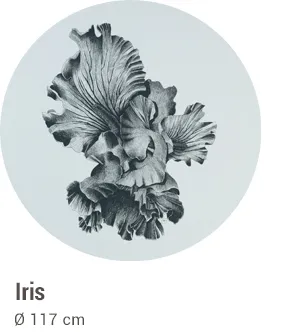 Snowsound Art Iris